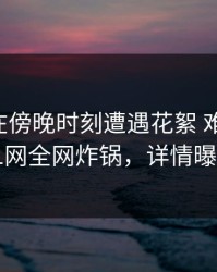 圈内人在傍晚时刻遭遇花絮 难以抗拒，91网全网炸锅，详情曝光