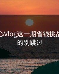 看完糖心Vlog这一期省钱挑战，我真的别跳过