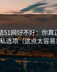 别再纠结51网好不好：你真正要看的是隐私选项（这点太容易忽略）
