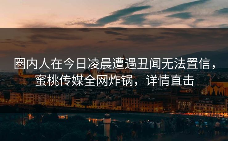圈内人在今日凌晨遭遇丑闻无法置信，蜜桃传媒全网炸锅，详情直击