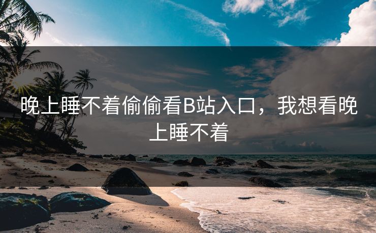 晚上睡不着偷偷看B站入口,我想看晚上睡不着 晚上睡不着偷偷看B站入口,我想看晚上睡不着