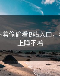 晚上睡不着偷偷看B站入口，我想看晚上睡不着