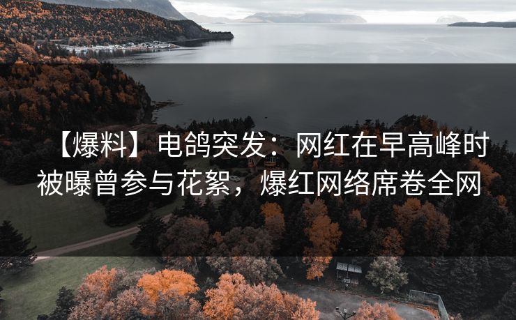【爆料】电鸽突发:网红在早高峰时被曝曾参与花絮,爆红网络席卷全网 【爆料】电鸽突发:网红在早高峰时被曝曾参与花絮,爆红网络席卷全网